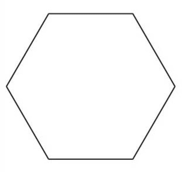 Sue Daley English Paper Pieces 1" Hexagon 100 Pack